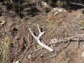thumbnail-6 thumbnail-6