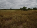 DSC07677.JPG