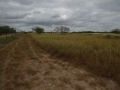 DSC07678.JPG