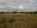 DSC07683.JPG