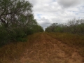 DSC07685.JPG