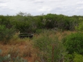 DSC07696.JPG