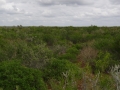 DSC07697.JPG