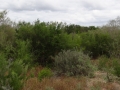 DSC07698.JPG