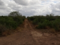 DSC07704.JPG