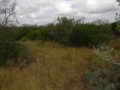 DSC07706.JPG