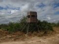 DSC07713.JPG