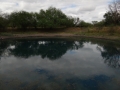 DSC07717.JPG