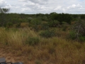 DSC07723.JPG