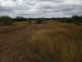 DSC07724.JPG