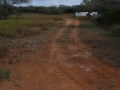DSC07726.JPG