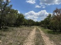 IMG_0111