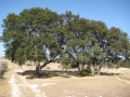 img_8792 img_8792