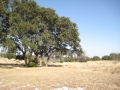 img_8793 img_8793