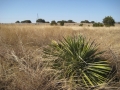 img_8794 img_8794
