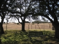 img_8798 img_8798