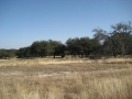 img_8811 img_8811