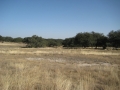 img_8812 img_8812