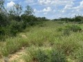 IMG_0150 IMG_0150