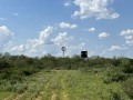 IMG_0156 IMG_0156