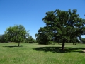 DSC07275.JPG