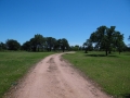DSC07276.JPG