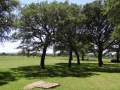 DSC07284.JPG
