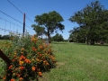 DSC07289.JPG