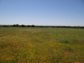 DSC07301.JPG
