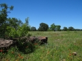 DSC07327.JPG