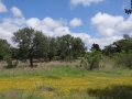 DSC08071