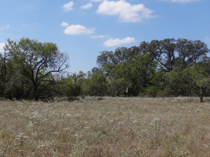 COUNTY LINE RANCH – 55+/- ACRES – Legacy Ranch Real Estate
