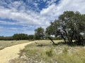 IMG_0529