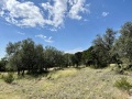 IMG_0559