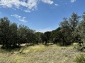 IMG_0560