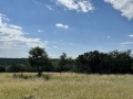 IMG_0569