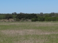 DSC04847