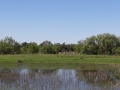 DSC04848