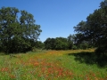 DSC07298.JPG