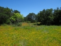DSC07300.JPG