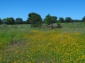 DSC07326.JPG