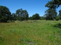 DSC07328.JPG