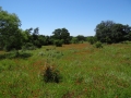 DSC07329.JPG