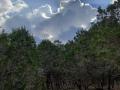 thumbnail-24