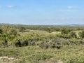 IMG_1791