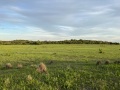 IMG_1884