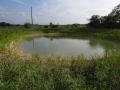 DSC05772.JPG