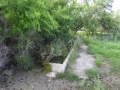 DSC05773.JPG