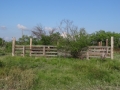 DSC05780.JPG