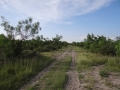 DSC05781.JPG